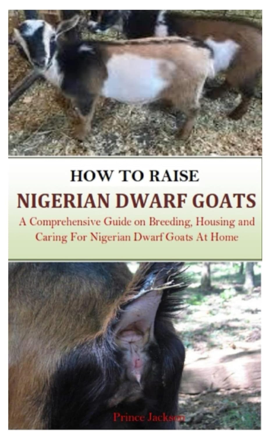 HOW TO RAISE NIGERIAN DWARF GOATS A Comprehensive Guide on Breeding