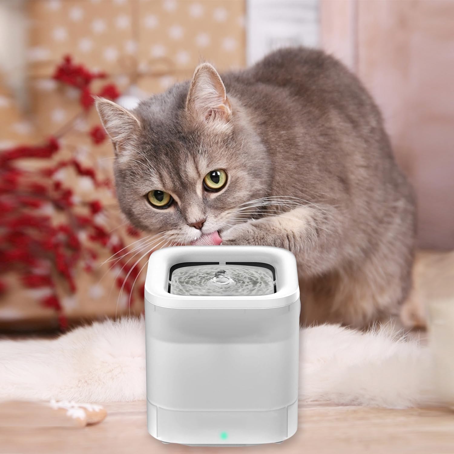 Amazon.co.jp: SAMANIJA 6個パック キャットウォーターファウンテン