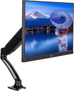 iiyama DS3001C-B1 Gasdruckfederarm