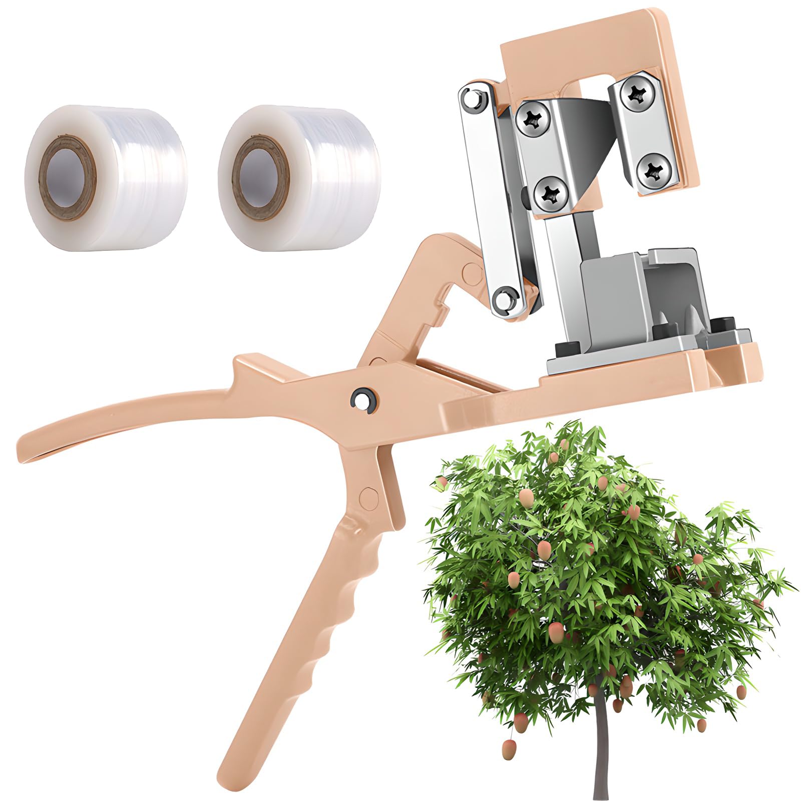Ciseaux de greffage de jardin et film de 3 cm pour l'élagage des arbres fruitiers