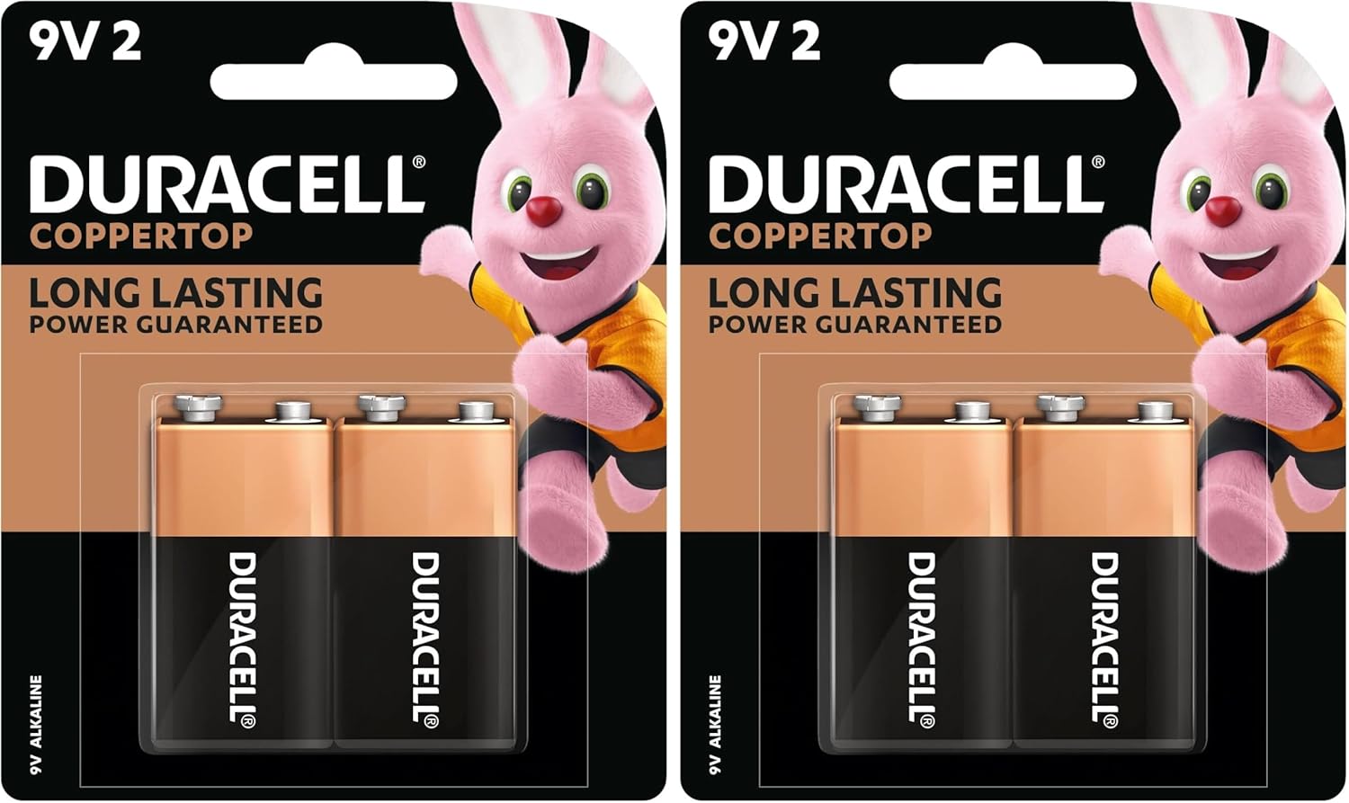 2 Count (Pack of 2)