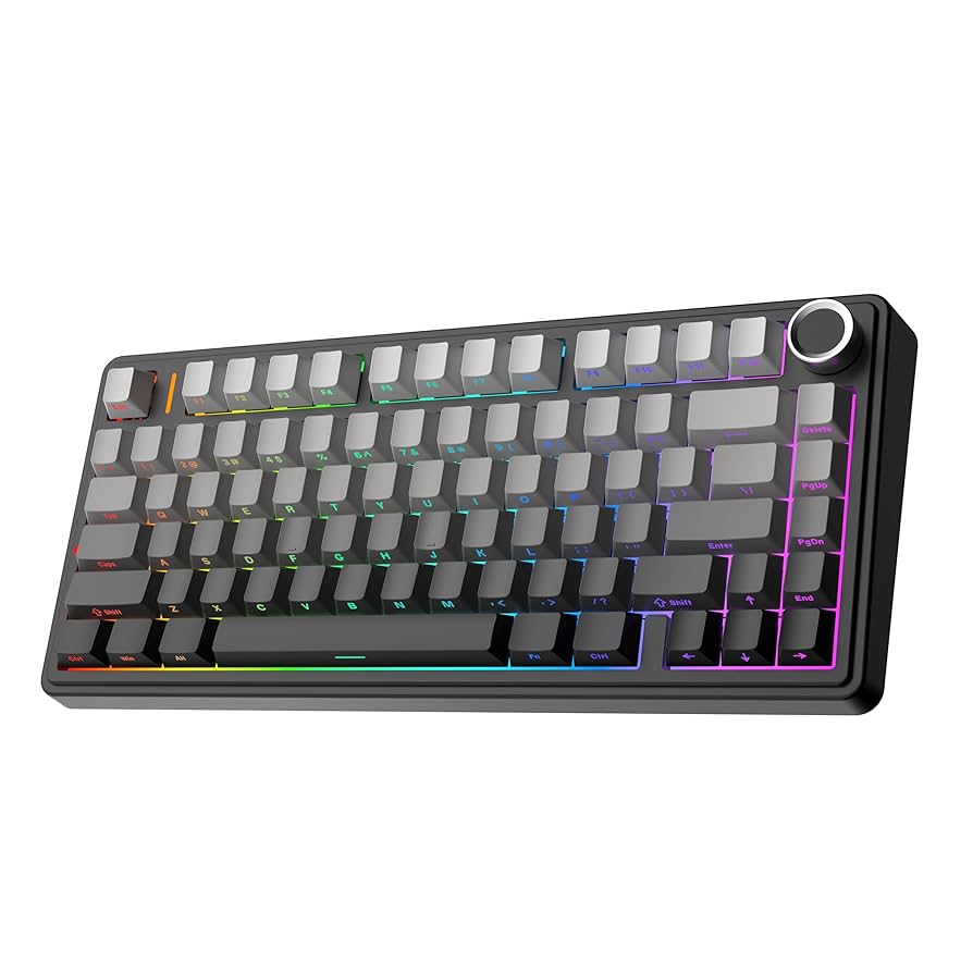 Aula F75 メカニカルキーボード シーブルー Amazon | EPOMAKER x Aula F75 ゲーミングキーボード ガスケット