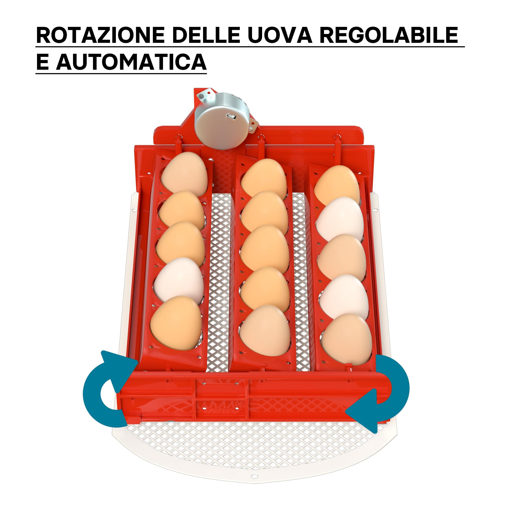 Wiltec Incubatrice automatica per 15 uova, con regolazione temperatura e umidità, Covatrice