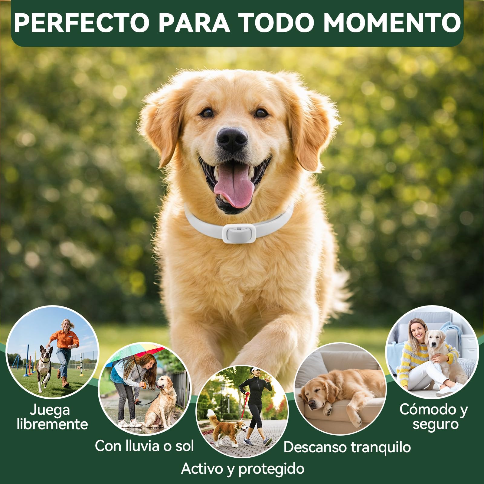 Collar Antiparasitario Perros, Protección Efectiva Collares Antiparasitarios para Perros, 100% Natural, Impermeable, Adjustable, Collar Antipulgas Perros para Pequeños, Medianos y Grandes,65 cm - 4
