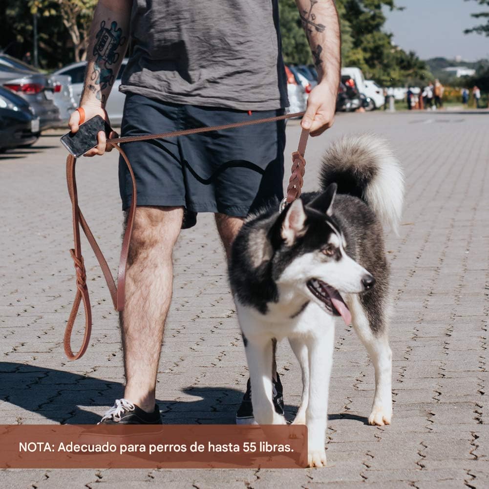 YOUTHINK Correa Cuero, Correa De Cuero para Perros, 210Cm Cable De Entrenamiento para Caminar Deslizante con Cierre De Metal Correa De Cuerda Resistente con Asa Cómoda Trenzada