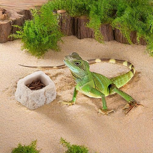 2 Pack Micro Water Bowl Mini Anti-Turnover Resin Dish for Lizard Frog Scorpion Corn Snake Reptiles