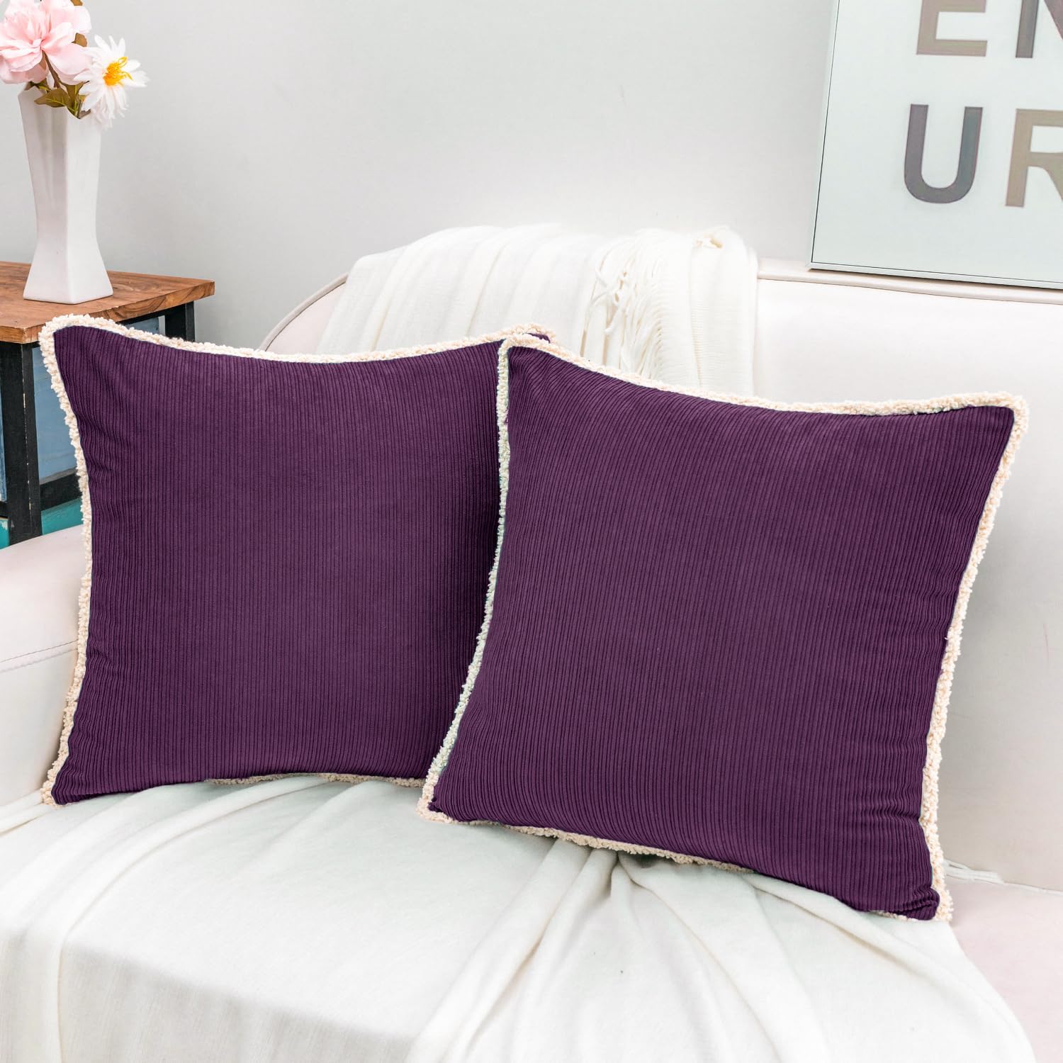 HWY 50 White Chenille Throw Pillow Covers 22x22 Inch with Tassels Fringe, Pack of 2, Soft Boho Farmhouse Cushion Cases for Couch Sofa Bed Living Room