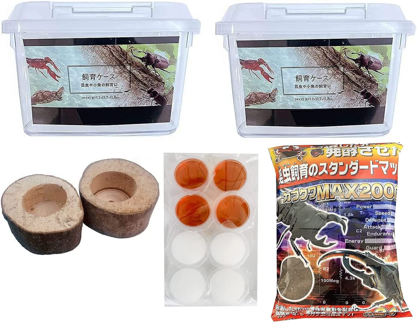 Amazon | 昆虫すごいぜ！ カブトムシ＆クワガタ 飼育 セット 【 ☆透明