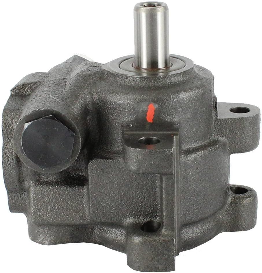 DNJ PSP1130 New Power Steering Pump for 2002-2007 Dodge Ram 1500 3.7L-5.9L V6 12V SOHC 226cid