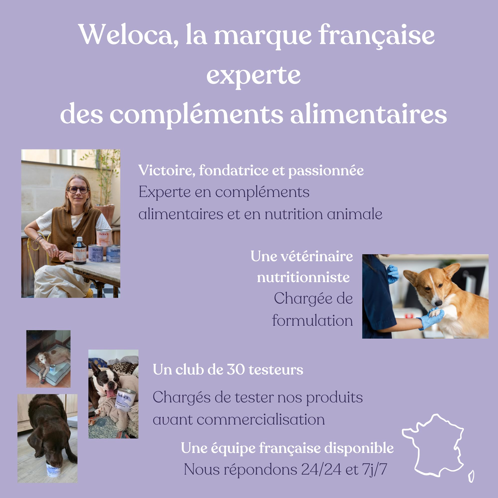 Anti-stress chien - 13 Actifs puissants naturels - Calmant pour chiens stressés, anxieux, réactifs, chiens hyperactifs - 120 compléments apaisants - Complément alimentaire chien - Nouvelle formule