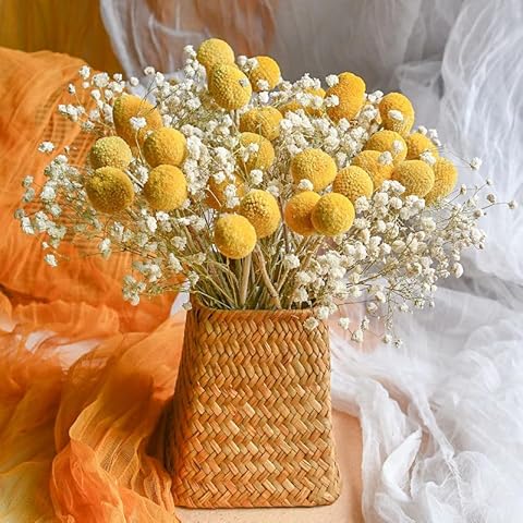 Craspedia Dried Flowers and Billy Buttons Bouquet Cover