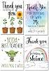 Teacher thank you card collection appreciation teaching assistant nursery mentor end of term leaving school card 4 pack