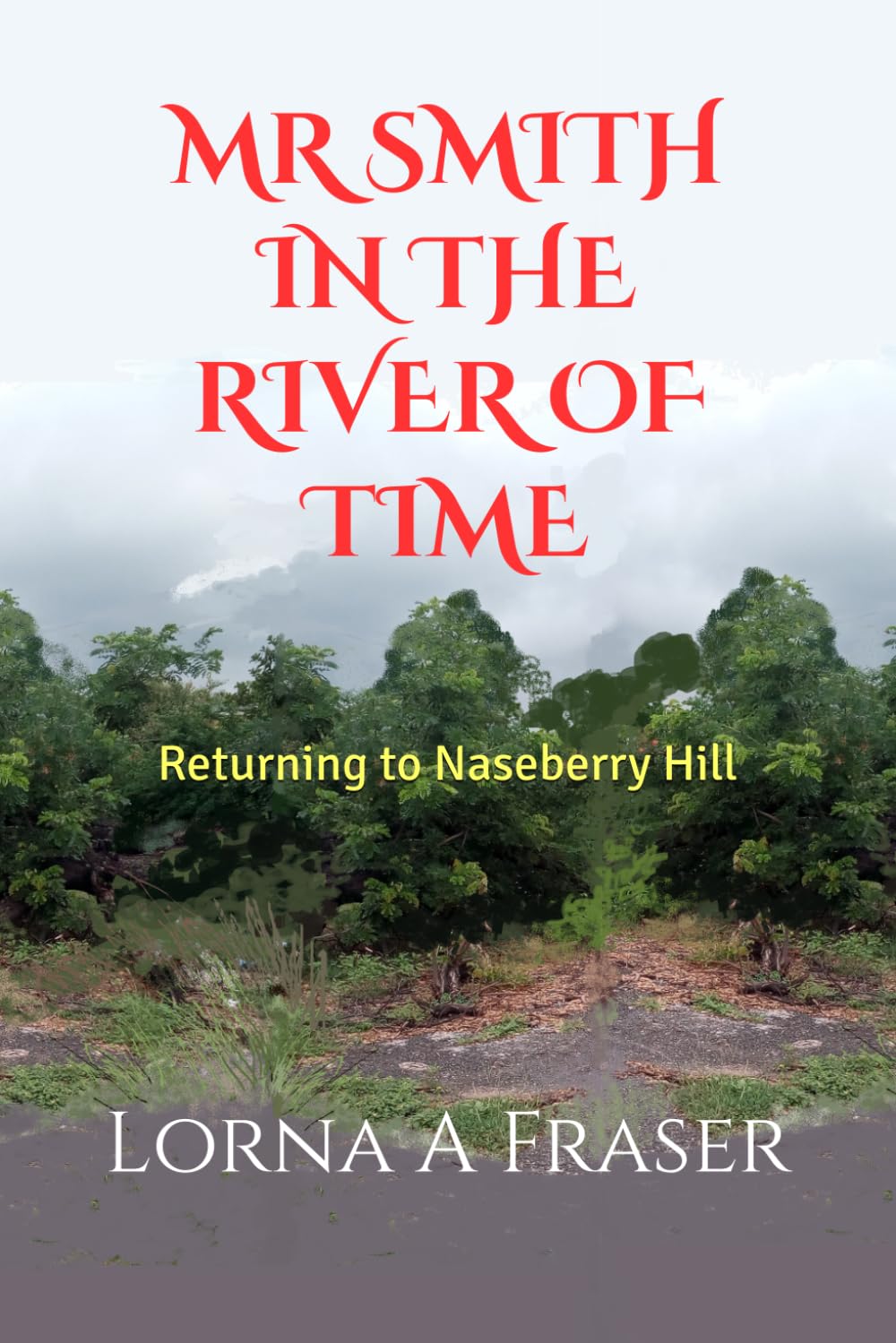 Mr Smith in the River of Time: Returning to Naseberry Hill: 3 (Kildare's Hills and The Rivers of Time)