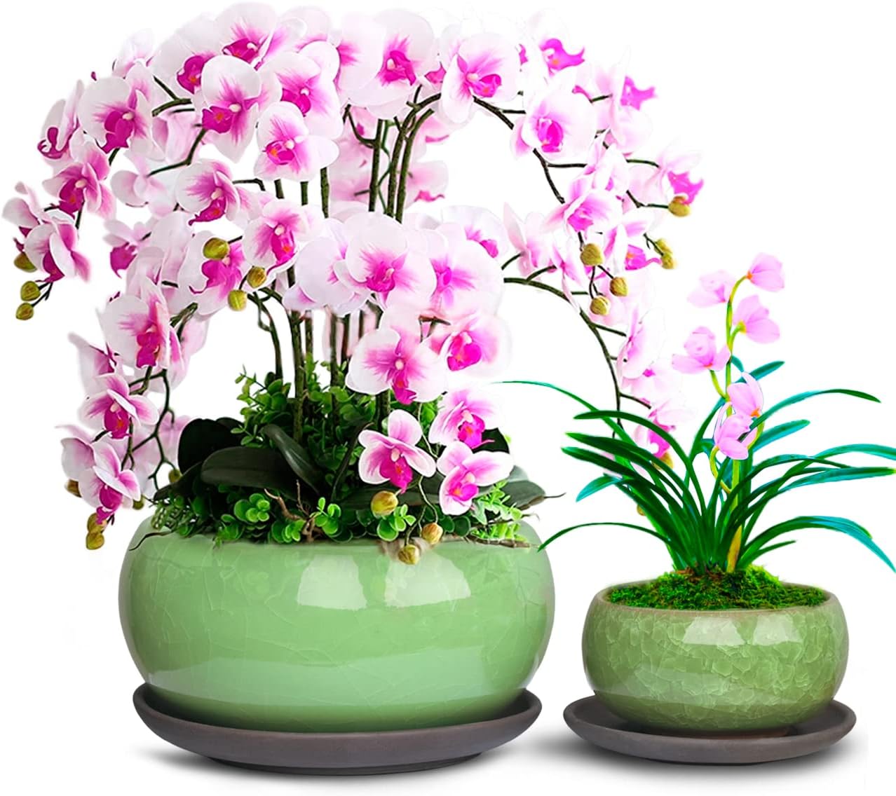 Dahlia Round Ceramic Succulent Pot/Bonsai Pot with Drainage Tray, 2pc Set Green