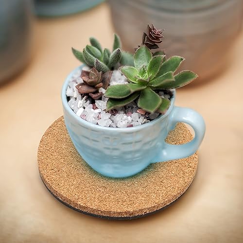 Miniatura 7 de Coitak 6 tapetes de corcho para plantas, posavasos redondos de corcho de 6 pulgadas para jardín, patio, maceta, interior y exterior y proyectos de