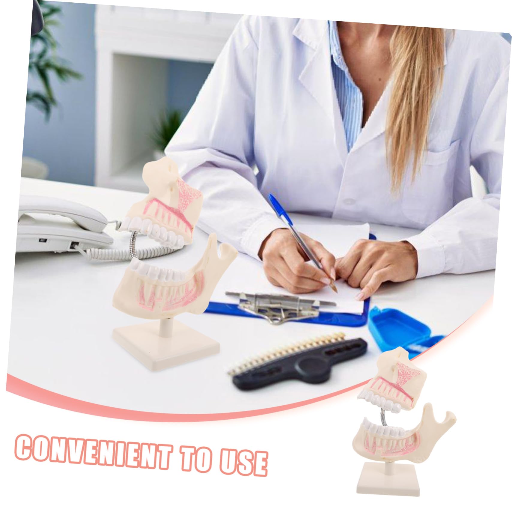 PRETYZOOM Modello di Denti in Plastica per Studio Odontoiatrico Modello Typodont per Pratica Denti Finti per Apprendimento Orale