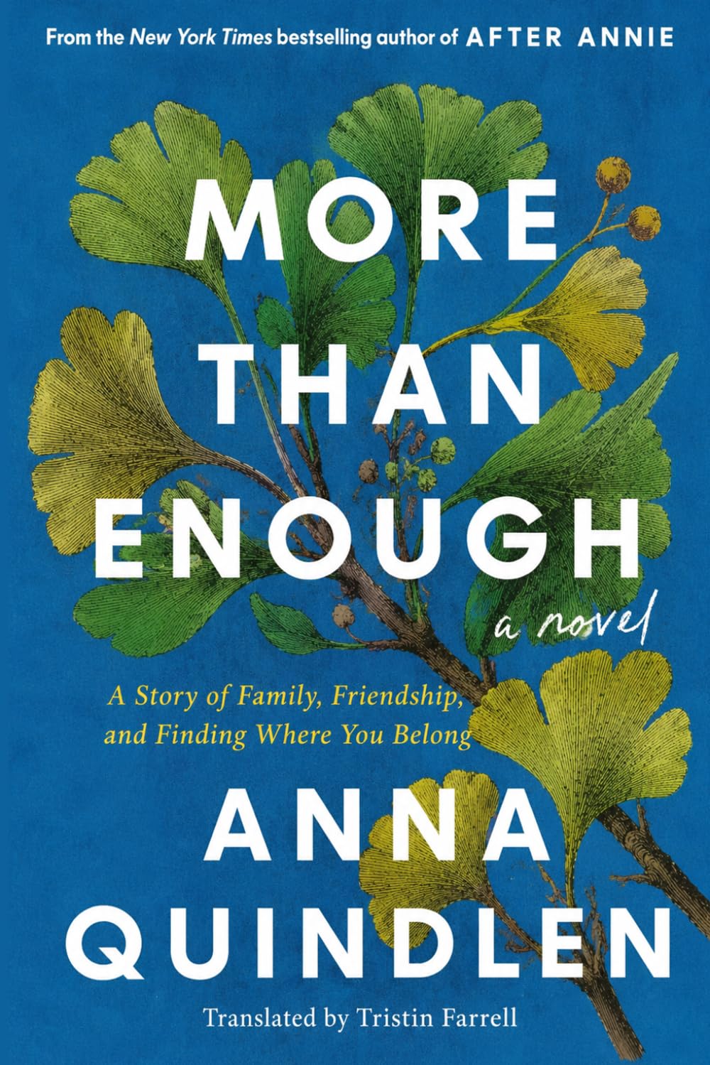 More Than Enough: A Story of Family, Friendship, and Finding Where You Belong, A Novel-2026 Edition, Paperback