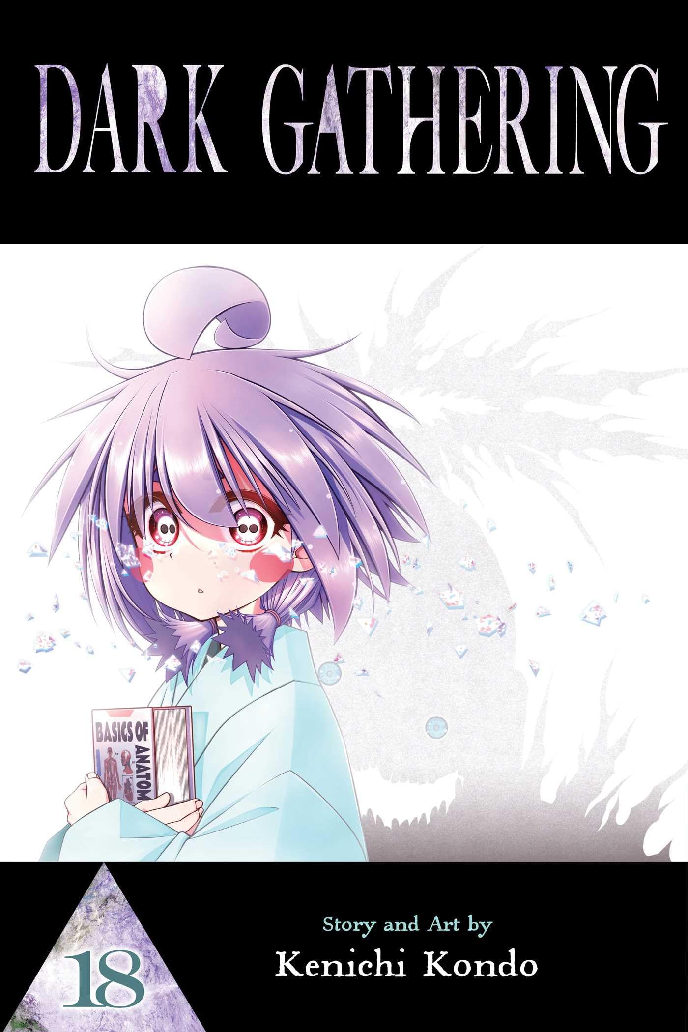 Dark Gathering, Vol. 18 Volume 18