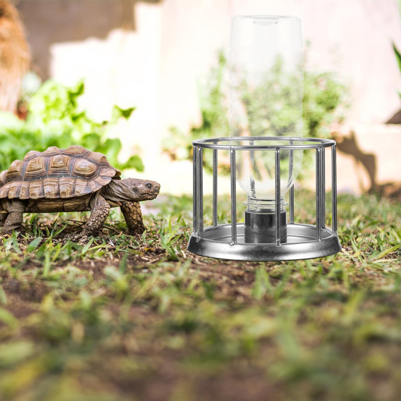 Yardwe 5 Uds Alimentador De Agua para Cuenco De Comida para Reptiles Comedero De Metal para Reptiles Cuenco para Beber Agua para Mascotas Alimentador De Cuenco De