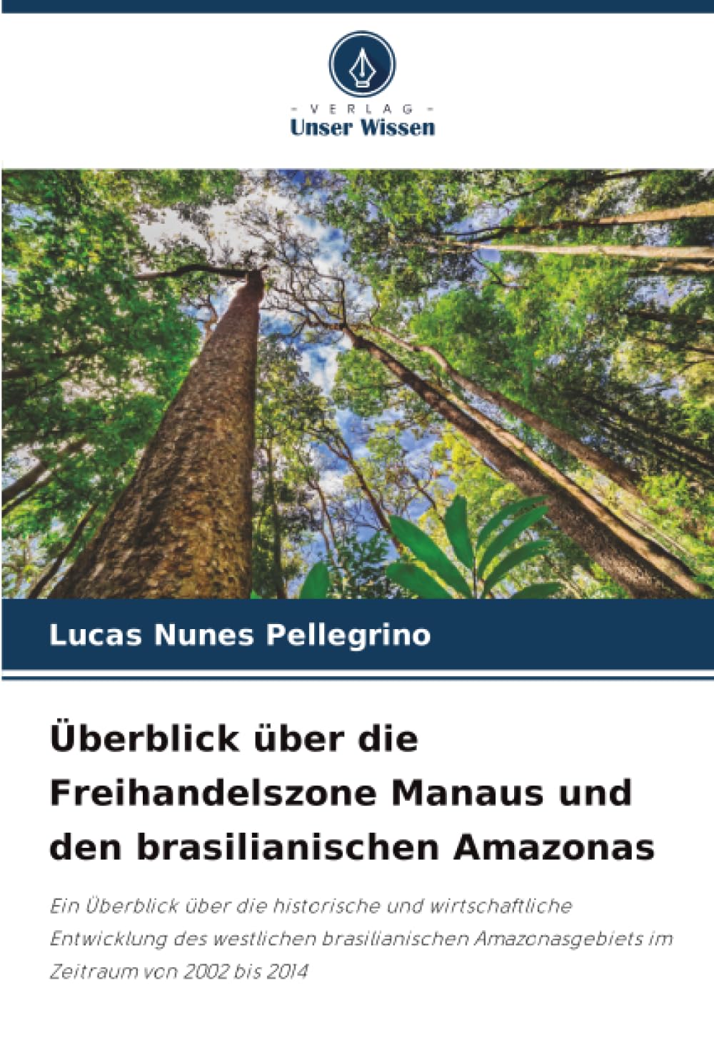 Überblick über die Freihandelszone Manaus und den brasilianischen Amazonas: Ein Überblick über die historische und wirtschaftliche Entwicklung des ... Amazonasgebiets im Zeitraum von 2002 bis 2014