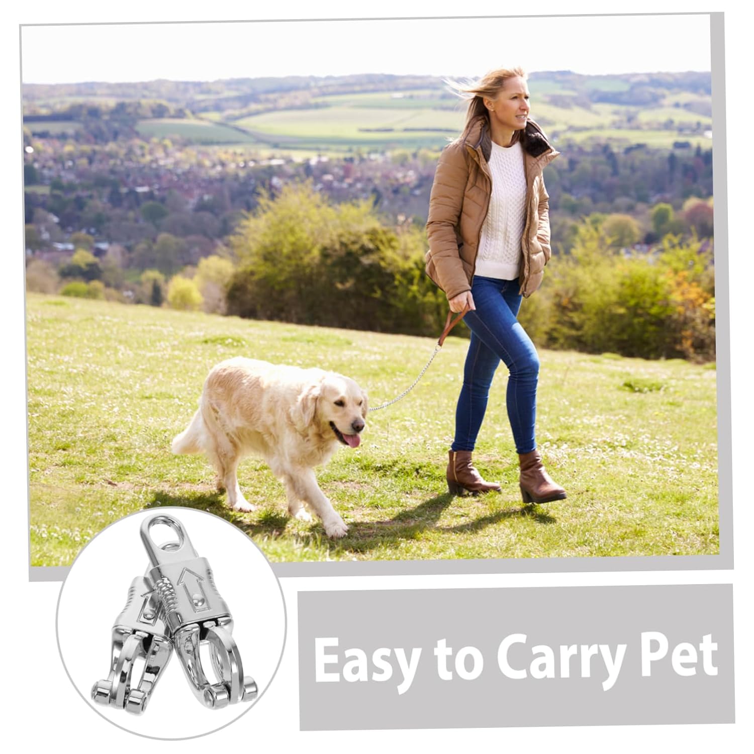2pcs Dog Leash Buckle Hardware Quick Release Leash Clasp Metal Snap Hooks Versatile Pet Supplies