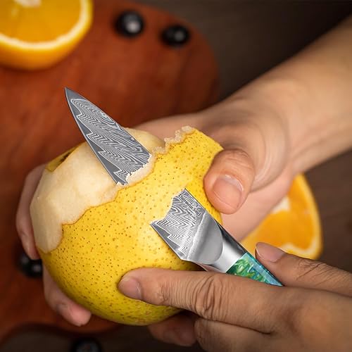 Miniatura 7 de WILDMOK Cuchillo de pelar de 3.5 pulgadas, 67 capas de acero de damasco VG 10 cuchillas, cuchillo de cocina pequeño, perfecto para cortar frutas y