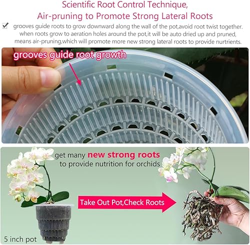 Miniatura 4 de Macetas de orquídeas transparentes de 6 pulgadas con agujeros para trasplantar, paquete de 4, pequeñas macetas de plástico para orquídeas que