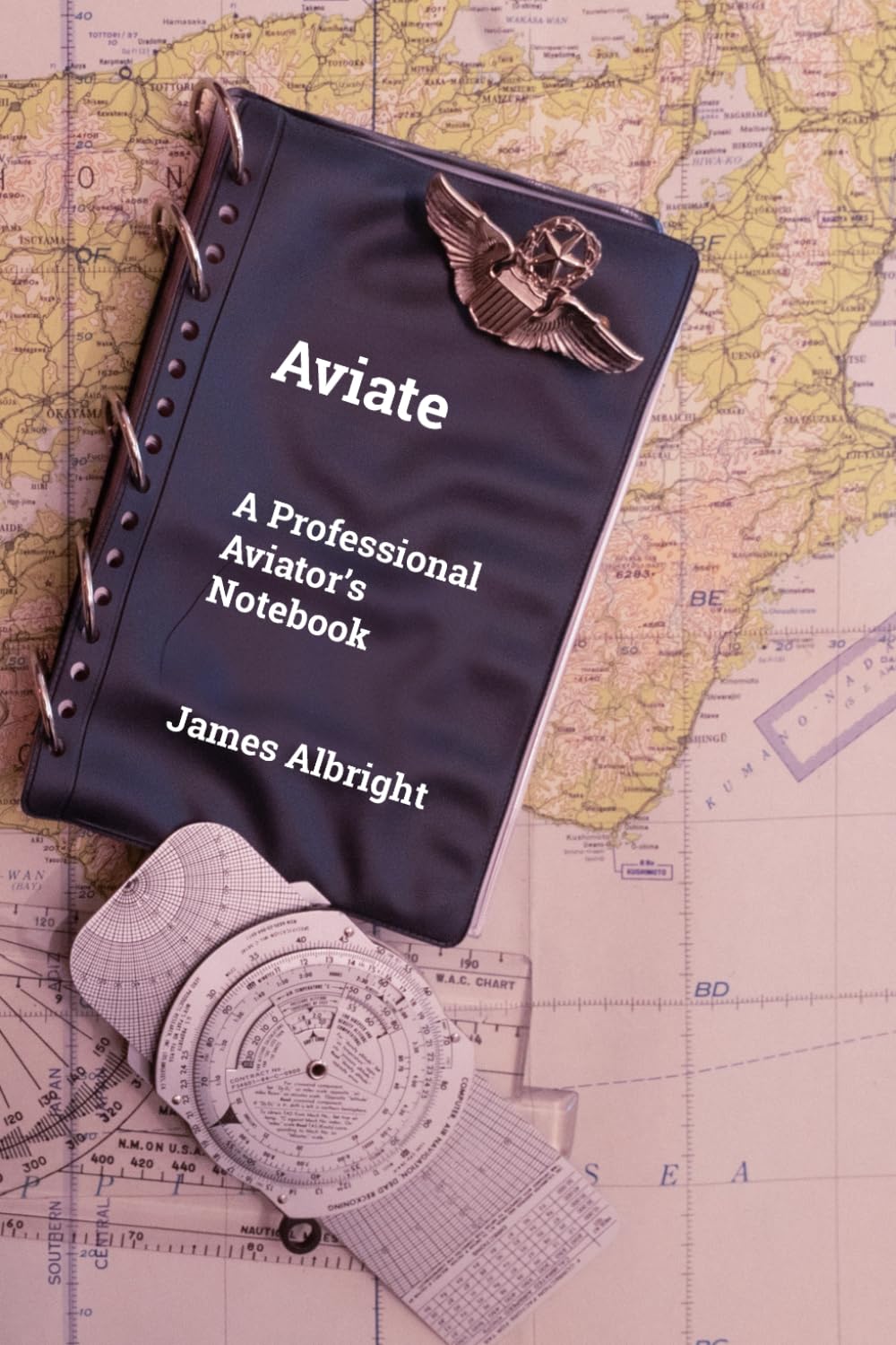 Aviate: A Professional Aviator's Notebook
