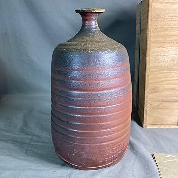 Amazon.co.jp: 南山窯備前焼の伝統 日本の銘窯 南山窯 堀川恭平