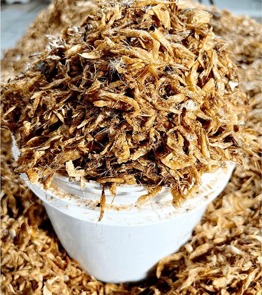 Homemade Sundried Radish Sinki Naturally Fermented Super Sour Nepali Sinki - Nepali Mula Ko Sinki, Natural Typical Nepali Fermented Radish Slices Dry Sinki To Make Curry Soup - 200grm