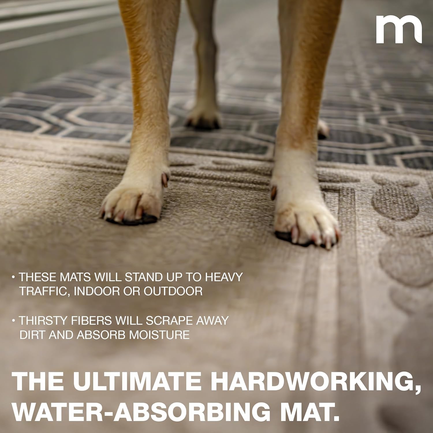 MATSINC Artisan Entry Front Door Mat - Rubber Back Indoor Outdoor Mat with Coastal Design, Water Absorbing Welcome Front Door Mat Outside Entrance, Made in The USA, 2' x 3'(Taupe)