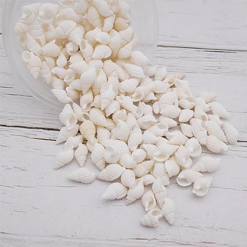 Miniatura 2 de Cerca de 250 piezas de conchas blancas en espiral de playa naturales de concha marina para manualidades, mini caracola, concha de mar para hacer