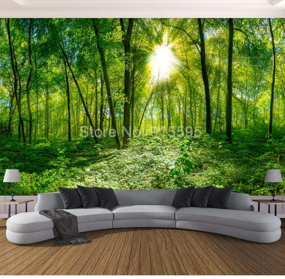 Papier peint photo 3D arbres forêt pour agrandir un salon moderne et masquer les grands murs