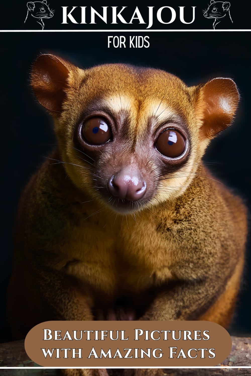 Kinkajou for Kids: Beautiful Pictures with Amazing Facts
