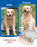 Ver la foto 5