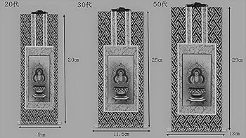 71P6DOlEq-L._UF350,350_QL80_.jpg