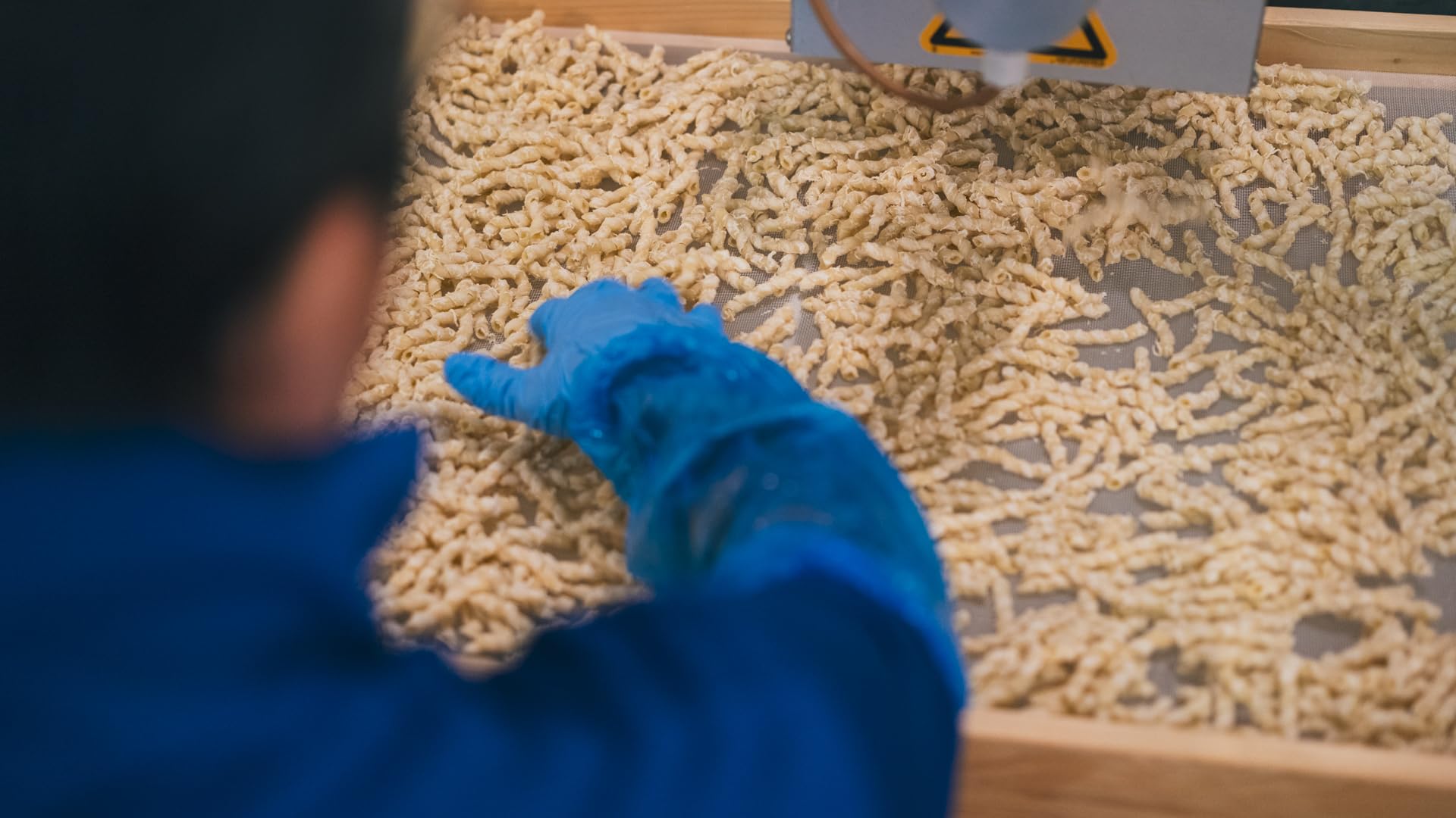 Terramia Busiate di Grano Duro Siciliano – Pasta Artigianale Trafilata al Bronzo, Lenta Essiccazione a Bassa Temperatura, Formato Maxi Scorta Famiglia 4kg (8 Buste x 500g)