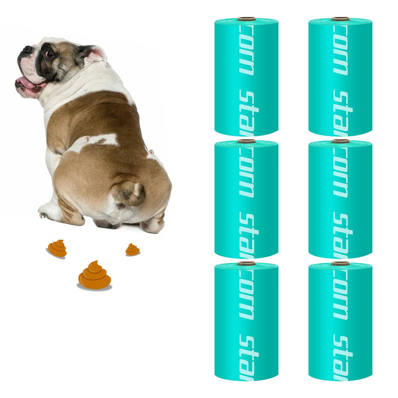 Why Does My Dog Roll In Cat Poop