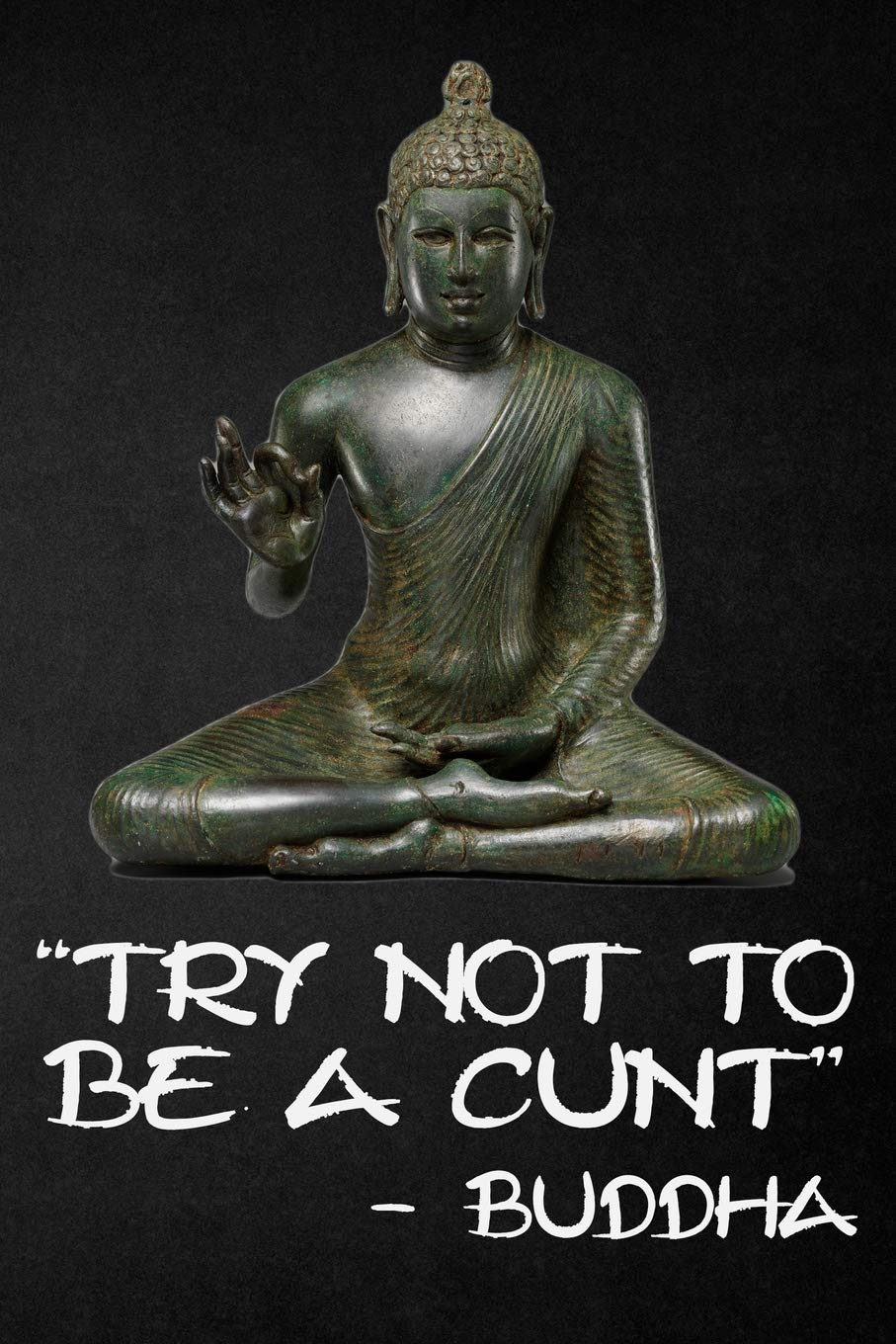 Try Not To Be A Cunt: 108-page Funny Swear Word Journal, Inspirational Profanity Sarcasm Humor Notebook For Adults