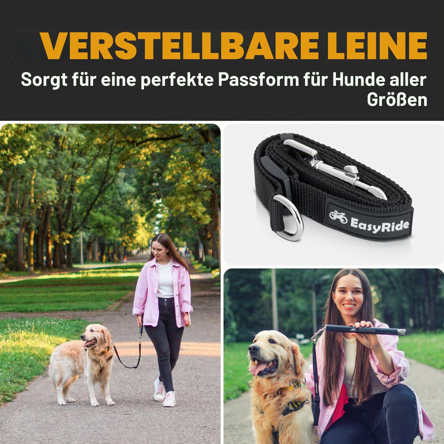 Freihandleinen für Hunde -180° drehbare Hunde Fahrradleine - mit Stoßdämpfern und Schnell Befestigungsmechanismus (Schwarz)