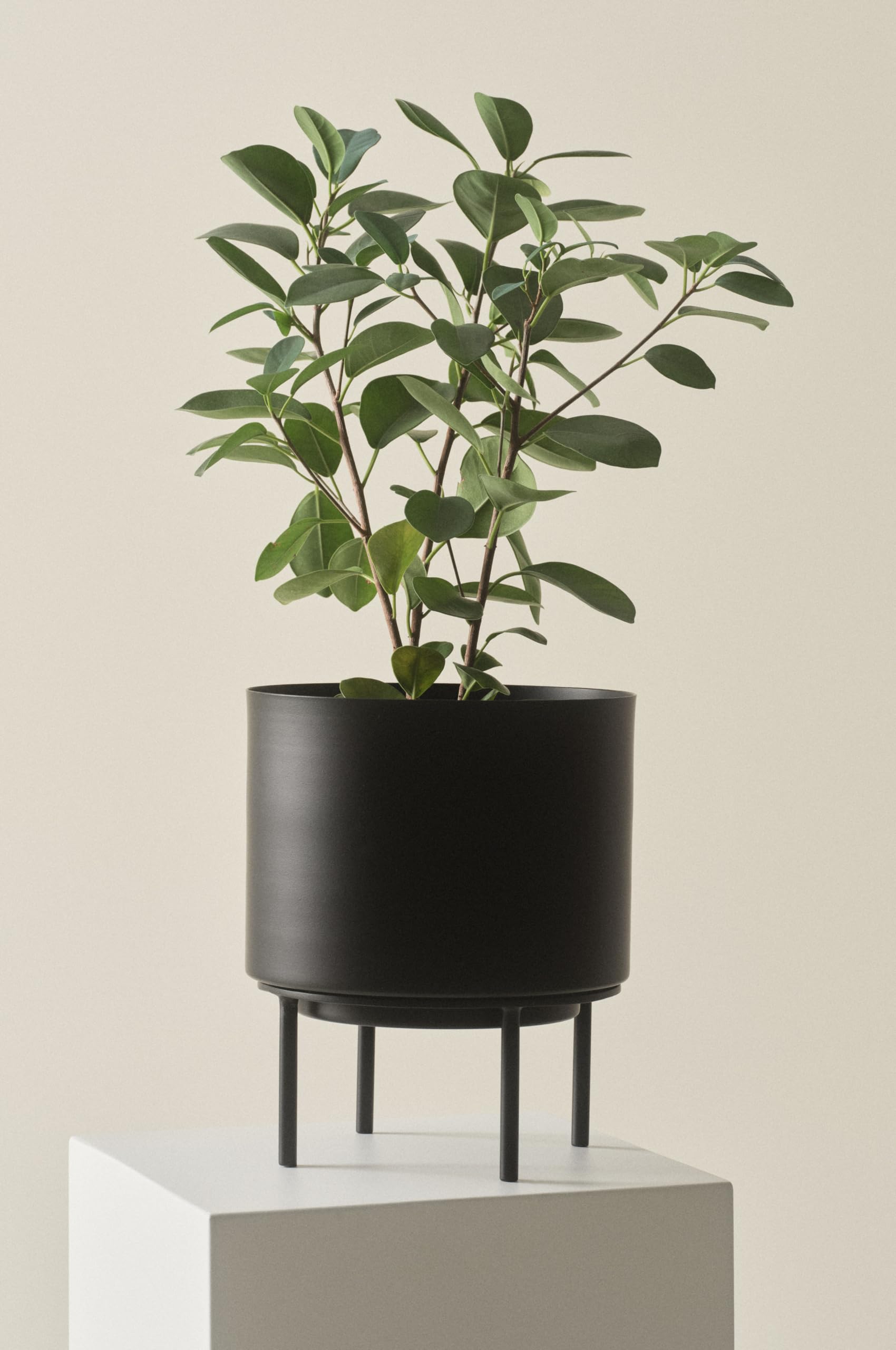 capri pflanztopf Capri Planter – Art de Vivre