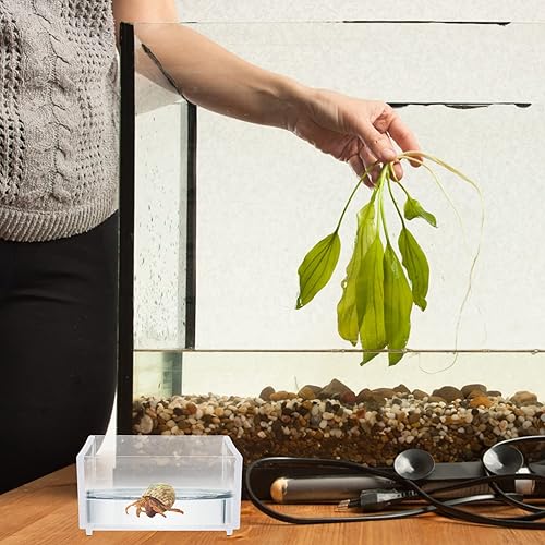 Miniatura 8 de balacoo 2 piezas acrílico terrario de reptiles acuario, tanque de cría de reptiles transparente, caja de alimentación de reptiles, piscina para