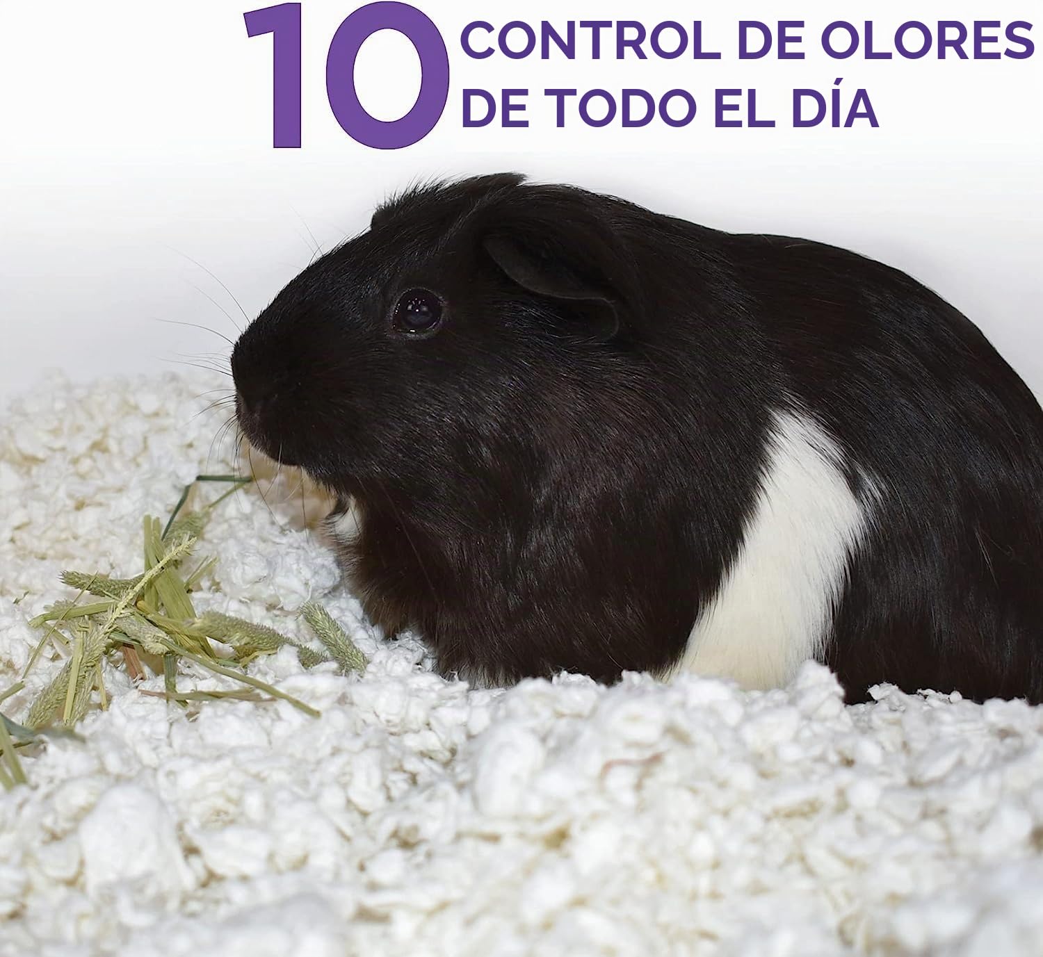 Carefresh Ropa de Cama para Mascotas pequeñas de Papel Natural Blanco 99% Libre de Polvo con Control de olores, 10 L