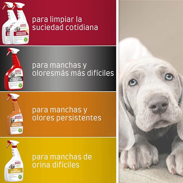 Foto 7 de 7 de Nature's Miracle Stain & Odour Remover Perro, centra en la suciedad cotidiana, aroma a melón fresco, 946 ml