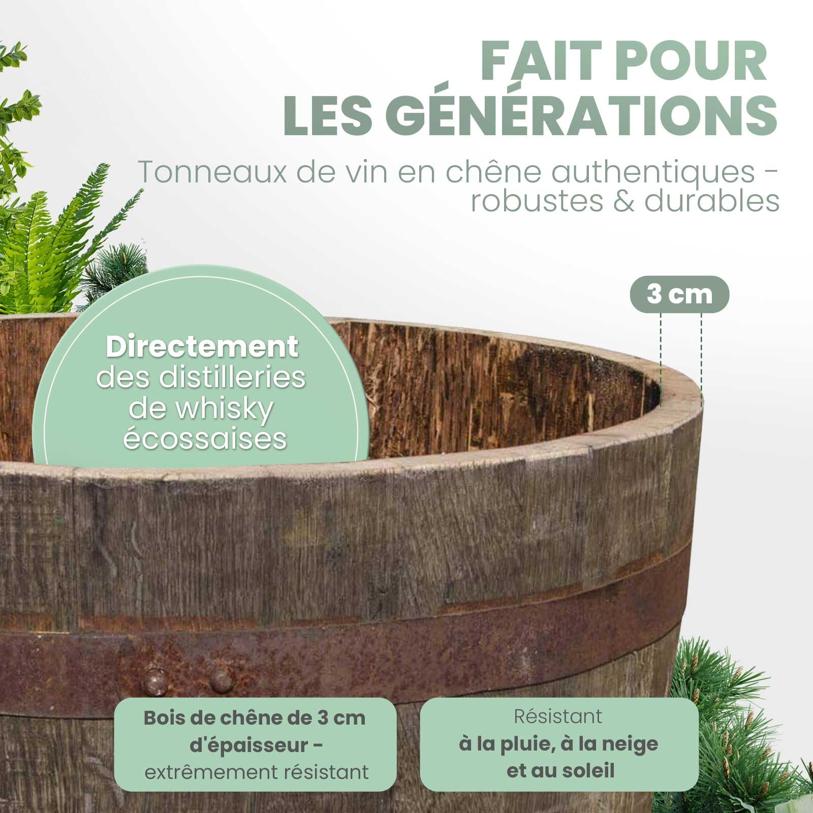 Temesso Demi-tonneau, Pot de Fleur Original d'un Baril à Whisky (Nature sans Extras)
