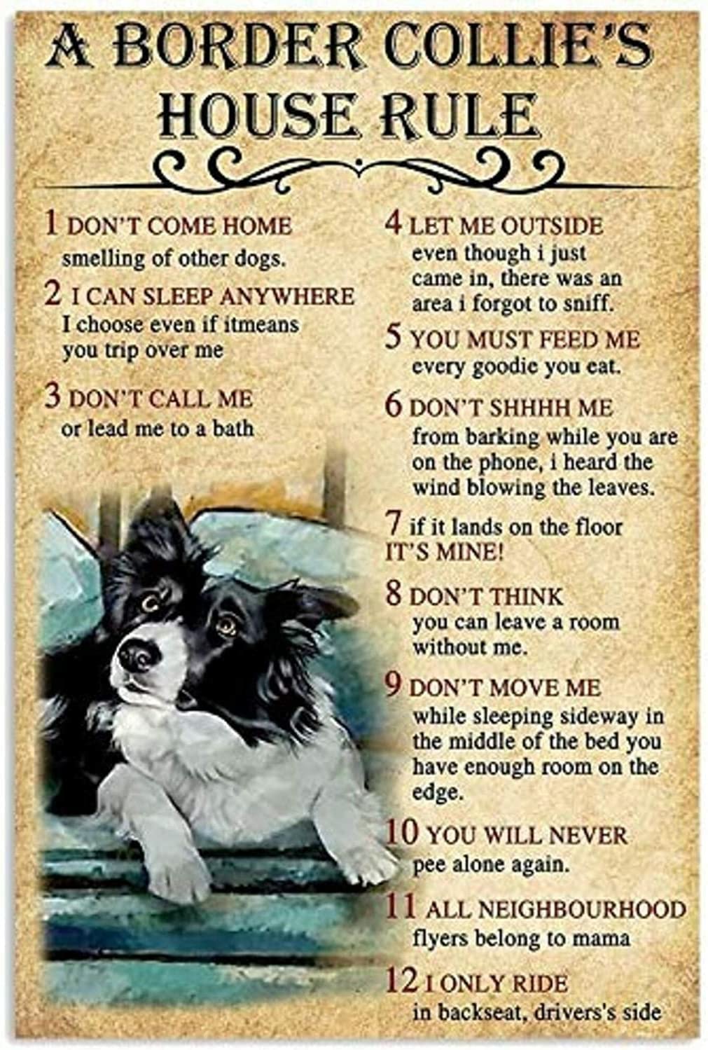 Border Collie House Rules Signs Vintage Metal Sign 5.5x8inch Tin Sign Plaque Poster for Garage Bar Bar Family Man Cave Wall Decor