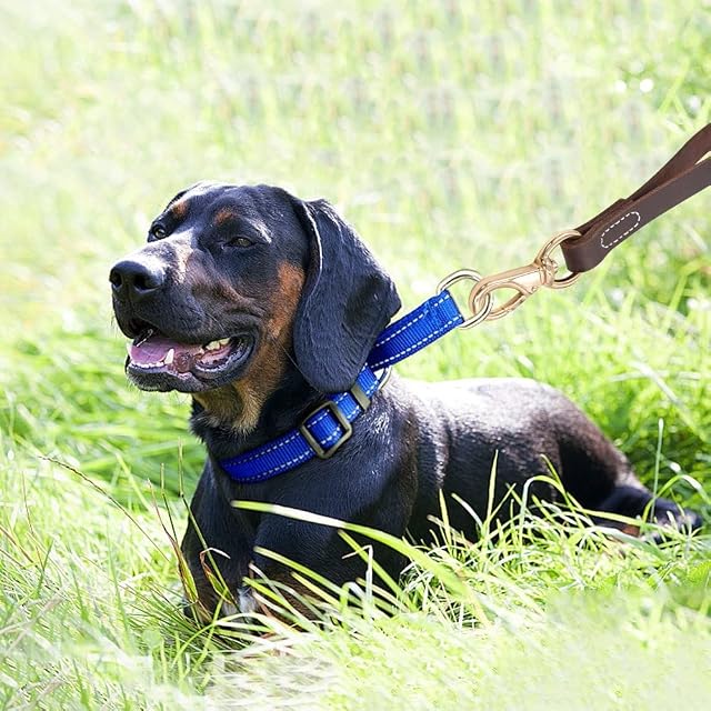Foto 5 de 8 de DONGKER Correa corta para perro de 11.8 pulgadas, correa de cuero para perro sin enredos