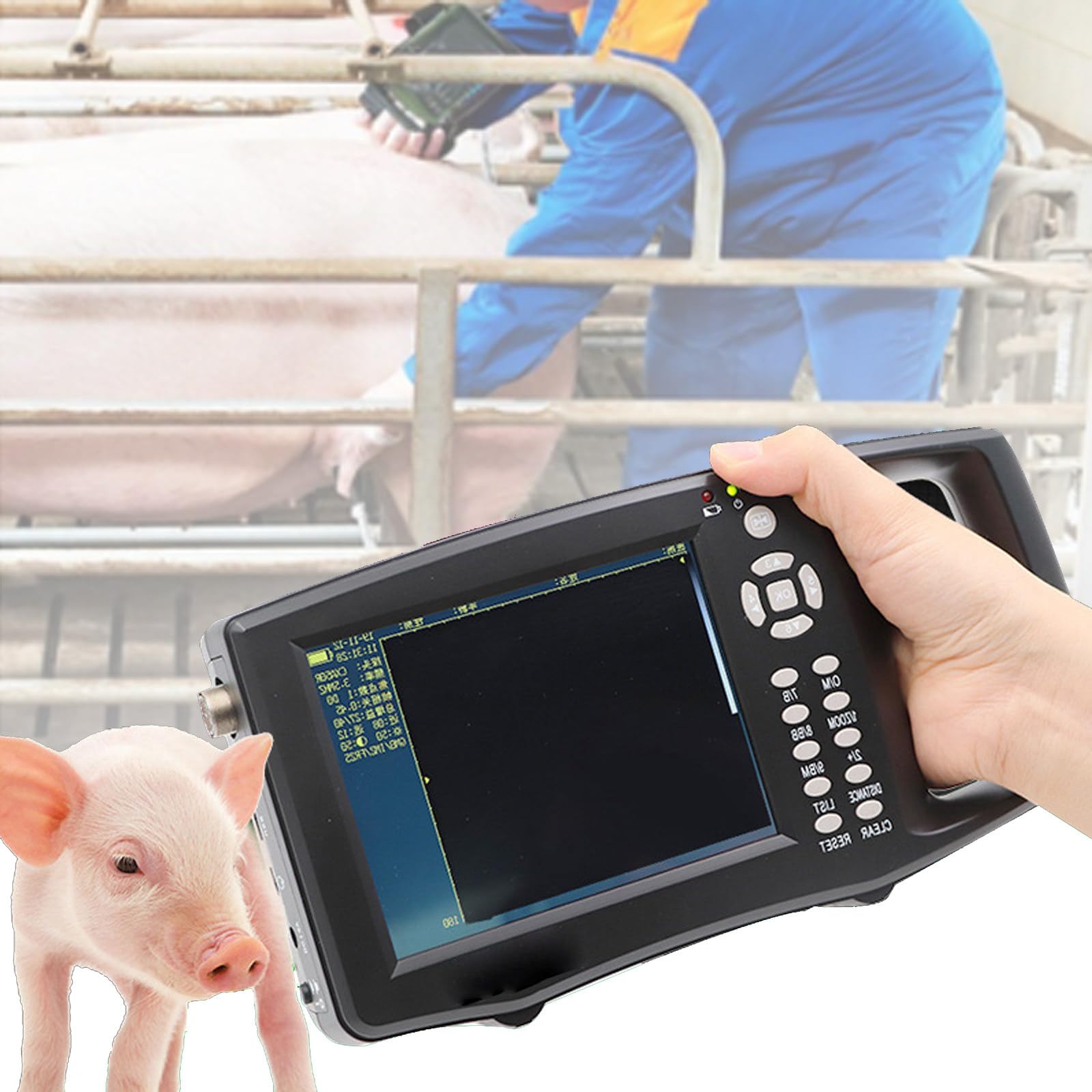 Machine à ultrasons portable pour la grossesse et l'utilisation vétérinaire, scanner Doppler portable pour petits animaux, échographie de chien, imagerie de vessie portable