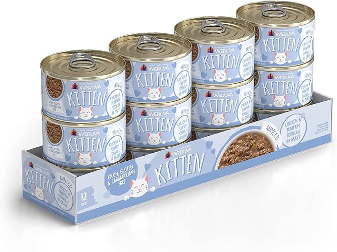Weruva Kitten, Chicken & Pumpkin Formula in Gravy, 3oz Can (Pack of 12) - 3 Ounce (Pack of 12) - Chicken & Pumpkin Formula in Gravy