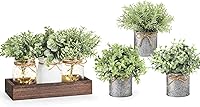 Vista 1 de Mkono Mini plantas falsas y tarro de masón, centro de mesa, decoración rústica de granja, plantas artificiales ligeras en maceta, eucalipto